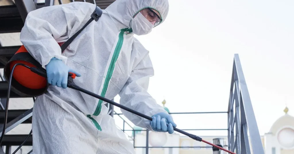 Pest Control team in action providing expert pest control solutions